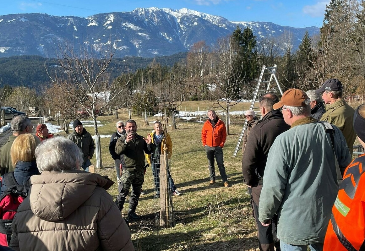 Kostenlose Baumschnittkurse