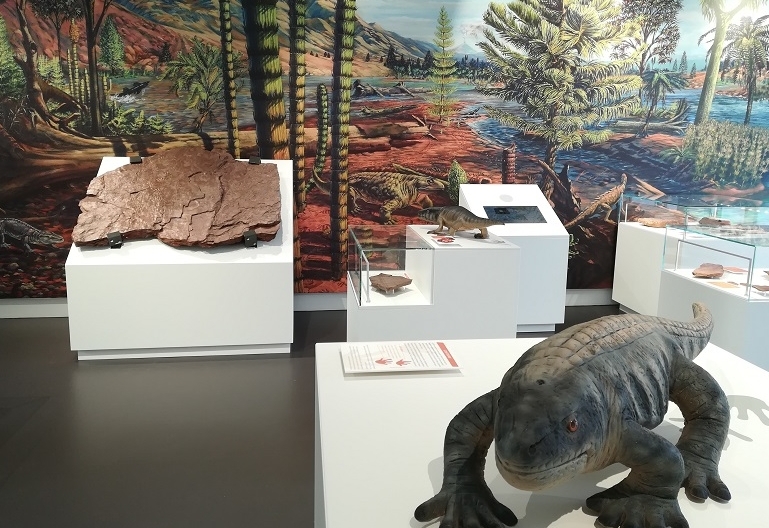 &bdquo;Gailtal-Dinos&ldquo; sind die &auml;ltesten &Ouml;sterreichs