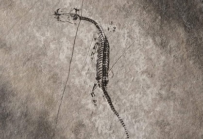 &bdquo;Ein Tag in der Trias&ldquo;