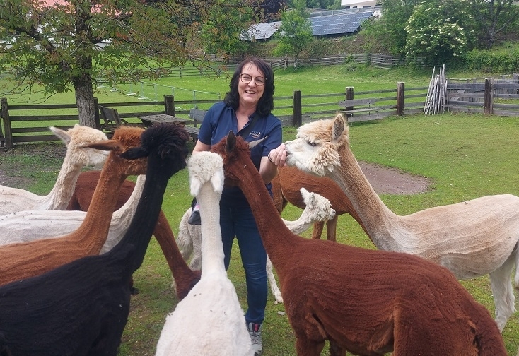 Unterwegs mit Alpakas