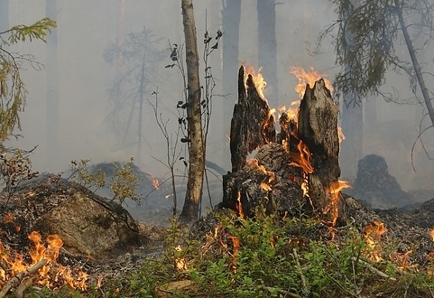Verbot des Feueranz&uuml;ndens