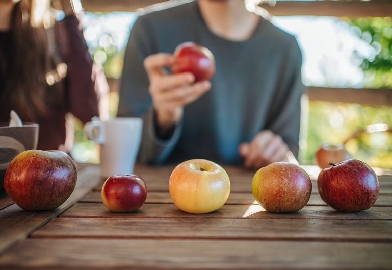 Tag des Streuobstes in St. Stefan