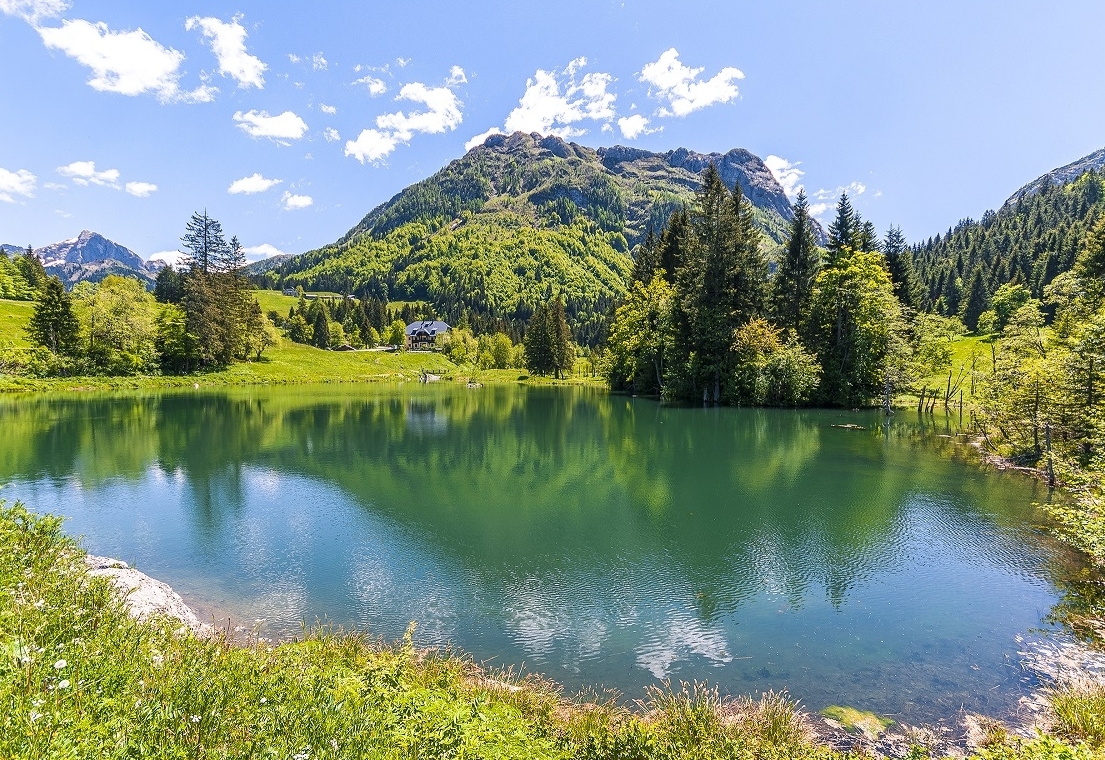 Stauseen als wertvolle Naturoasen