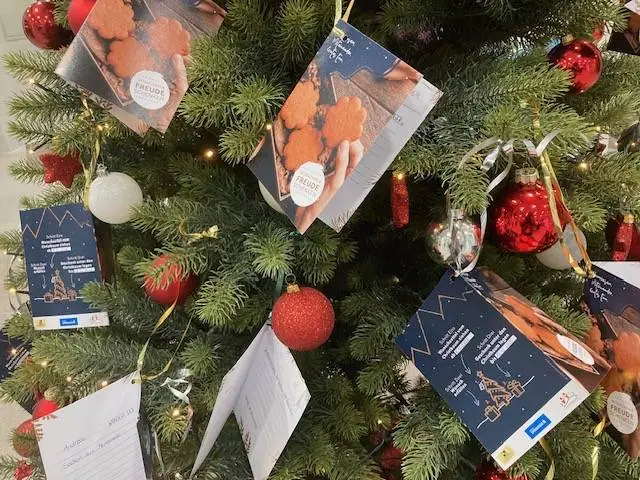 Rund 80 Wunschkärtchen hingen Montagfrüh am Baum. Foto: Stangl