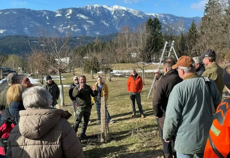 Kostenlose Baumschnittkurse