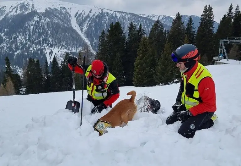 Gut vorbereitet auf den Einsatz im alpinen Gelände