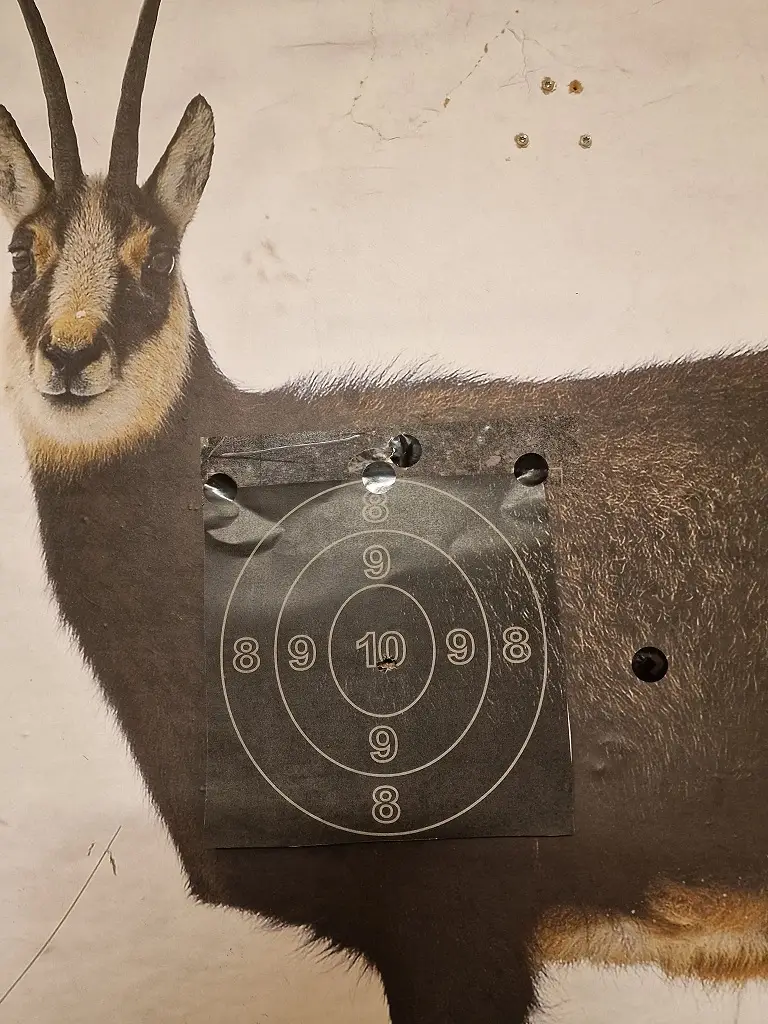 Hegeringschießen in Mallnitz (2)