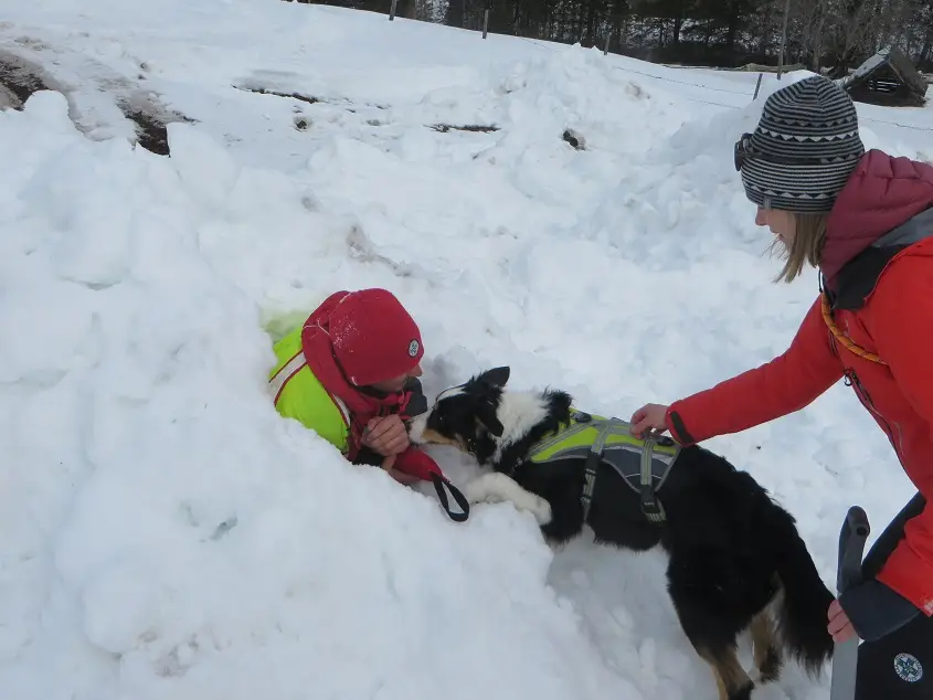 Lawinensuchhund und Hundeführer sind eingespielte Teams. Fotos: Bergrettung