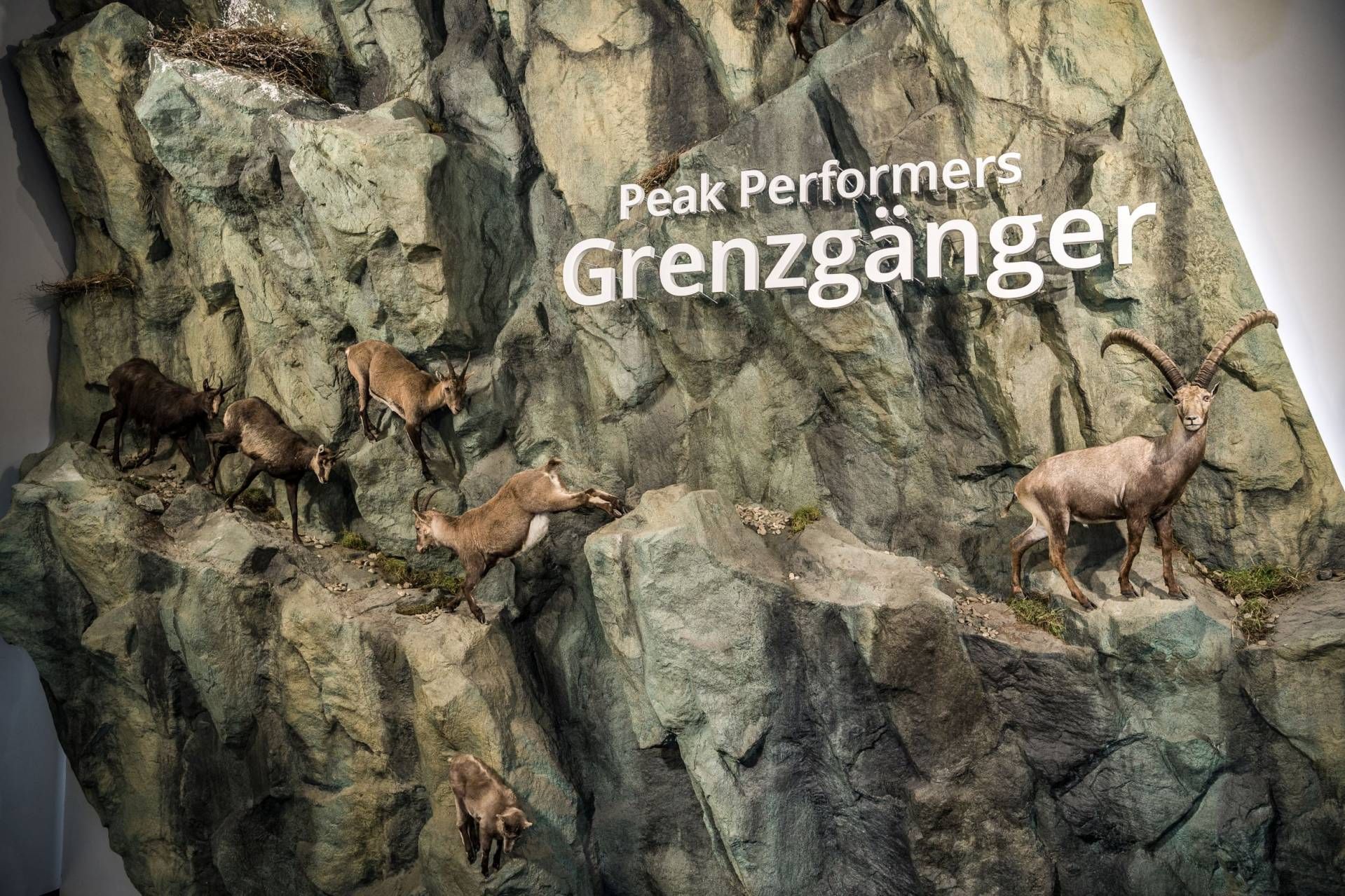 Immer faszinierend: Die Dauerausstellung &bdquo;Der K&ouml;nig und sein Thron&ldquo;. Foto: NPHT/Hannes Pacher