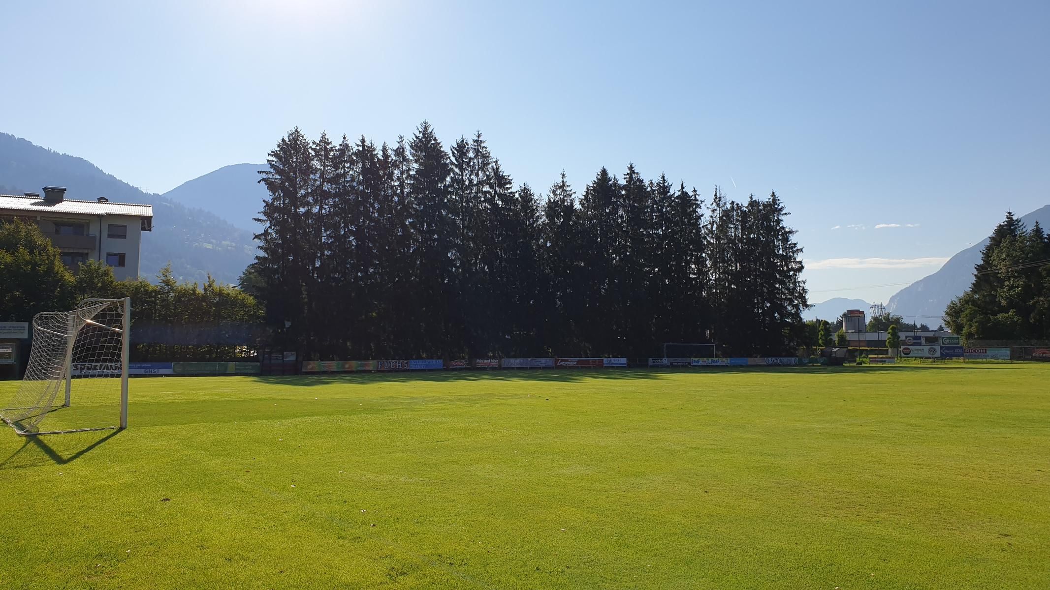 Die Fichten werden durch einen Ballfangzaun und einen Sichtschutz ersetzt.