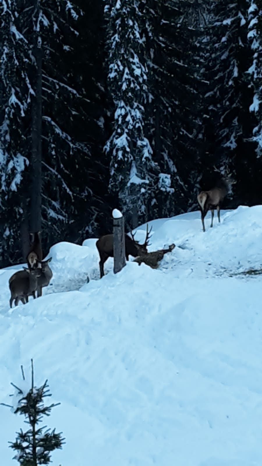 Foto: Mitterdorfer