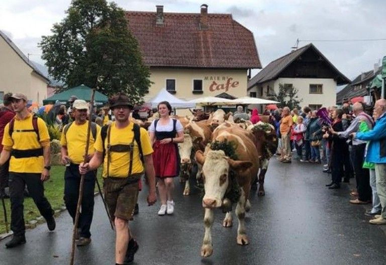 Der Almsommer geht zu Ende