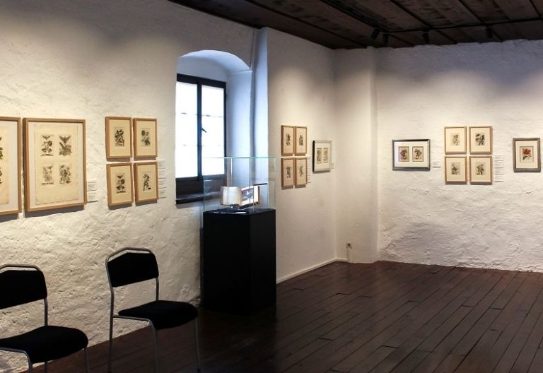 Merian Ausstellung geht ins Finale