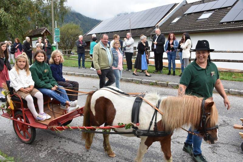 K1 ist K&auml;rntens &auml;ltester Pferdezuchtverein.