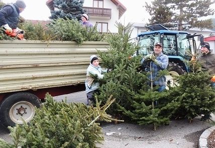 18 Jahre kostenlose Christbaum-Entsorgung 
