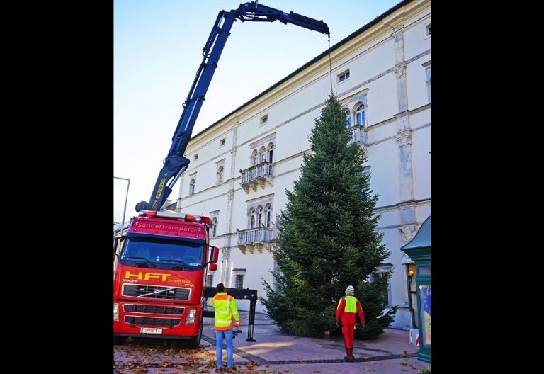 Spittaler Christbaum steht