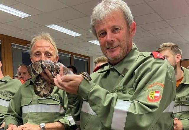 Schlangen, Spinnen und Co als &Uuml;bung