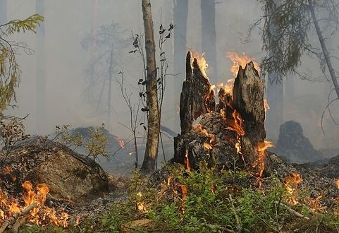 Verbot des Feueranz&uuml;ndens