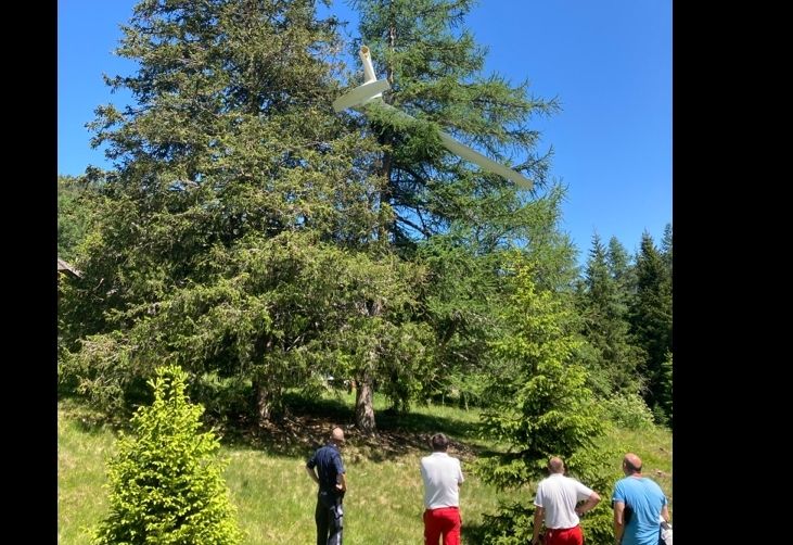 Segelflugzeug abgest&uuml;rzt
