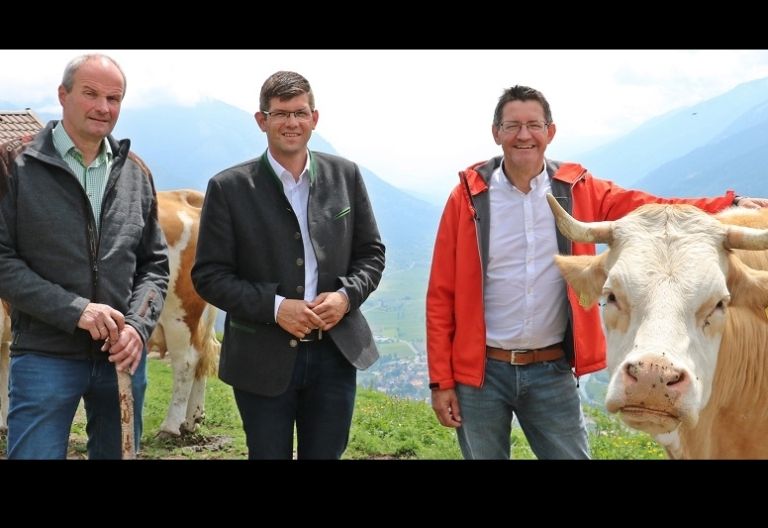 Start in eine herausfordernde Almsaison