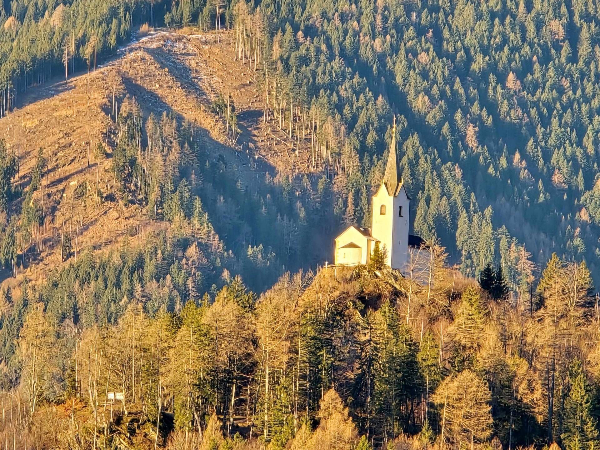 Danielsberg im Herbst: Emil Scheiflinger
