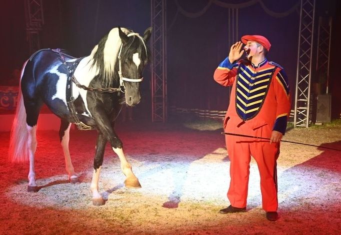 Circus Frankello kommt nach Spittal