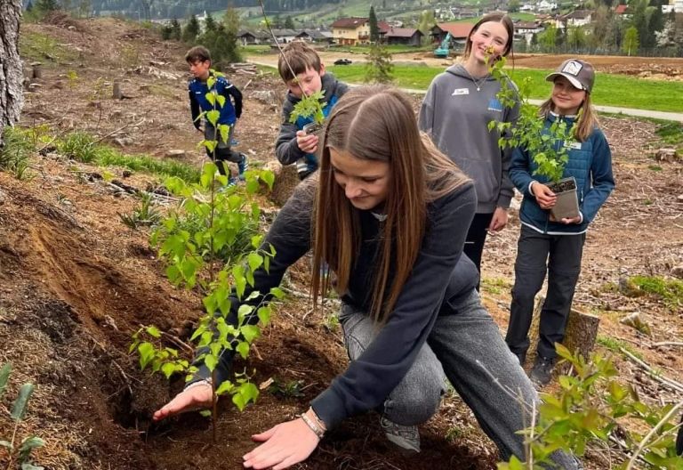 In Winklern gibt es einen &bdquo;St&ouml;pselwald&ldquo;