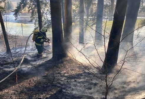 Verbot von Feueranz&uuml;nden und Rauchen im Wald