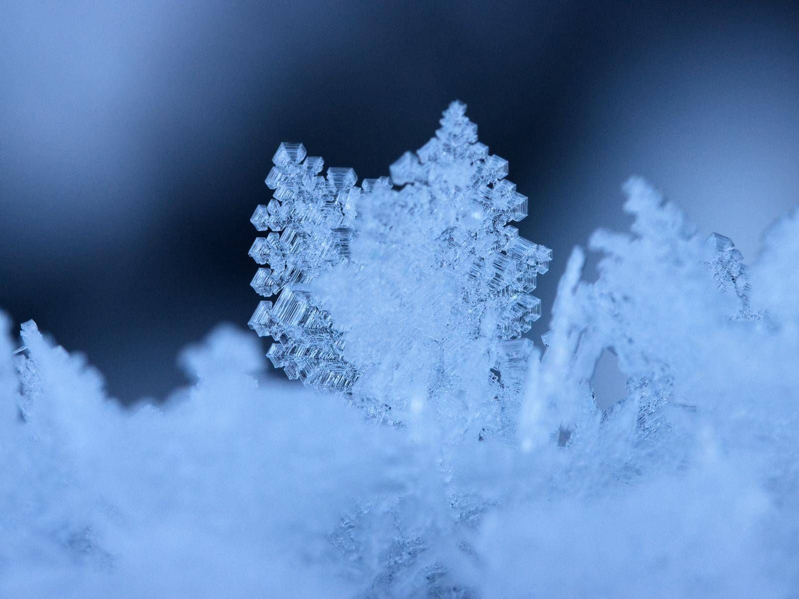 Fotoclub Lienz