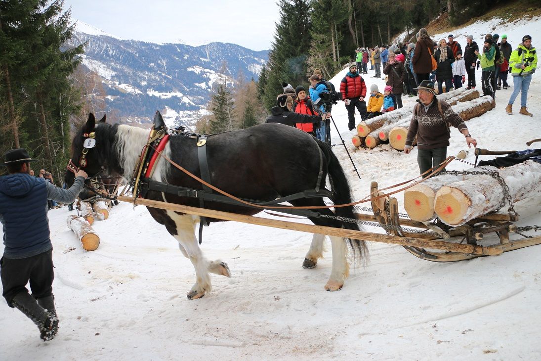 Holzr&uuml;cken M&ouml;lltal