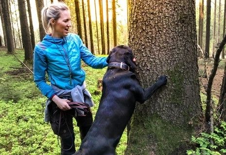 Mit feiner Nase dem Borkenk&auml;fer auf der Spur