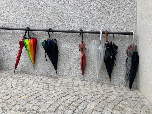 Der Fr&uuml;hling 2024 war warm aber auch sehr nass