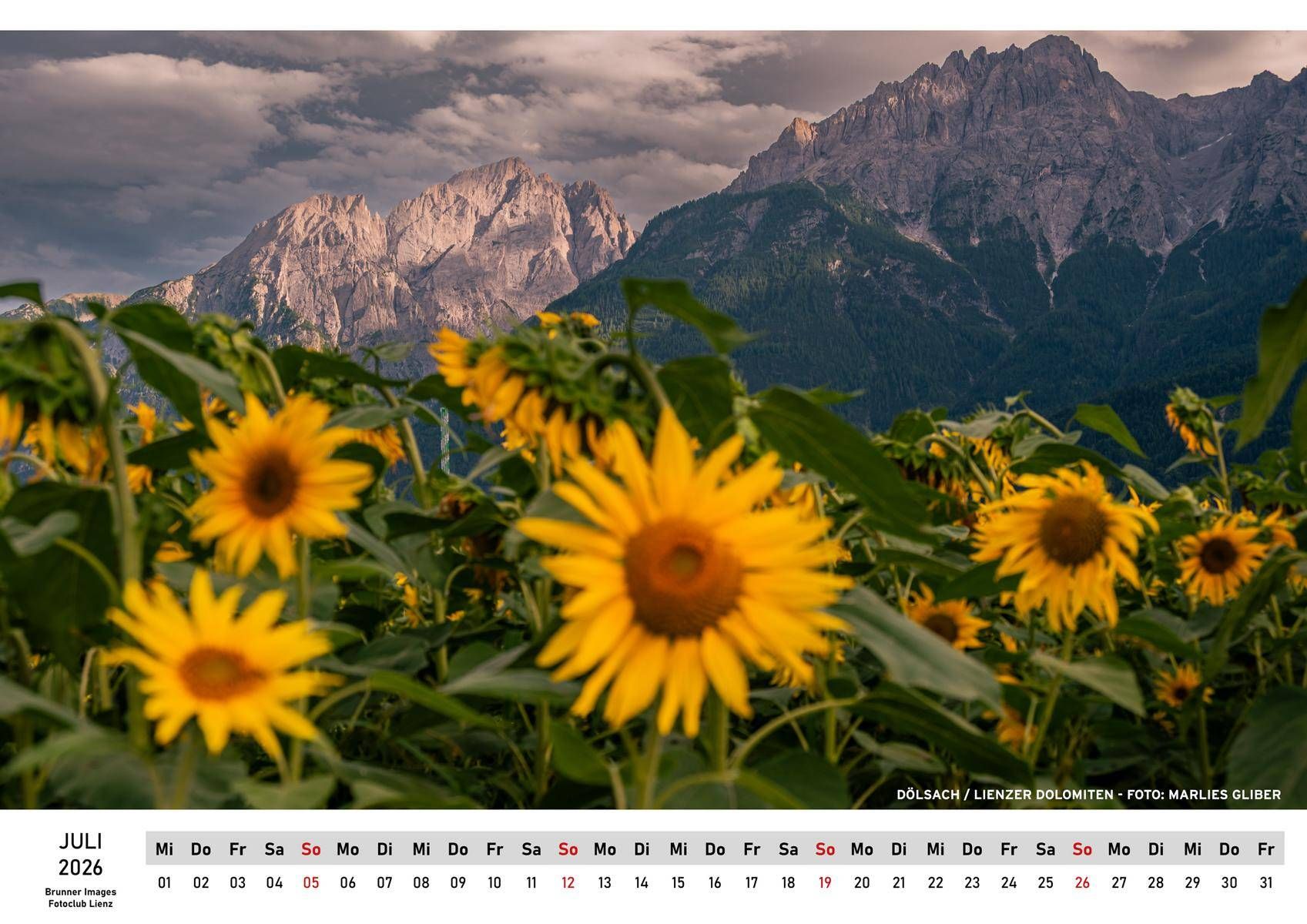 Marlies Gliber konnte sich f&uuml;r die Sonnenblumen bei D&ouml;lsach begeistern.