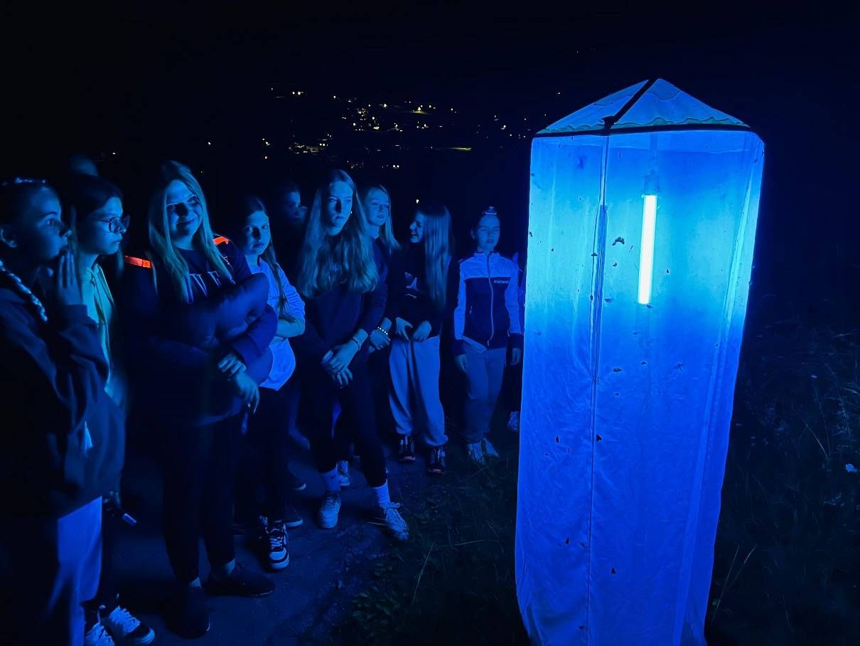 Letzen Sommer waren die Sch&uuml;ler mit ihren deutschen Freunden im Nationalpark unterwegs und f&uuml;hrten z. B. eine Schmetterlingsz&auml;hlung durch. Foto: Frankhauser
