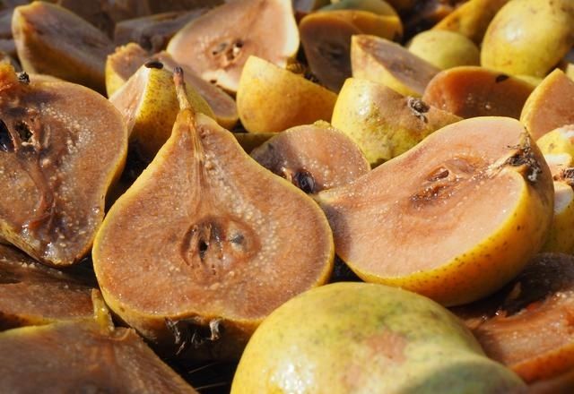 &bdquo;Kletzn-Birn&ldquo;- B&auml;ume im Gailtal gesucht