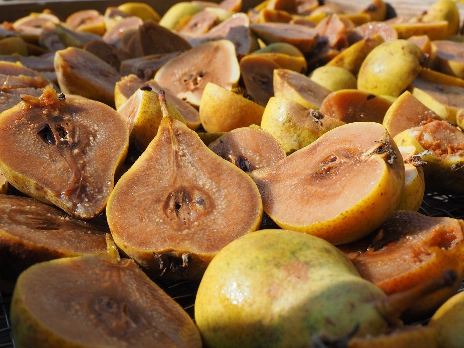 20 verschiedene Sorten Kletzenbirnen gibt es im Gailtal. Diese werden nun als Slow Food Presidio gesch&uuml;tzt und gef&ouml;rdert.