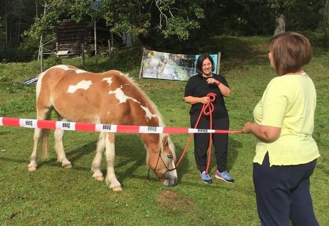 Pers&ouml;nlichkeitstraining mit vierbeinigen Helfern