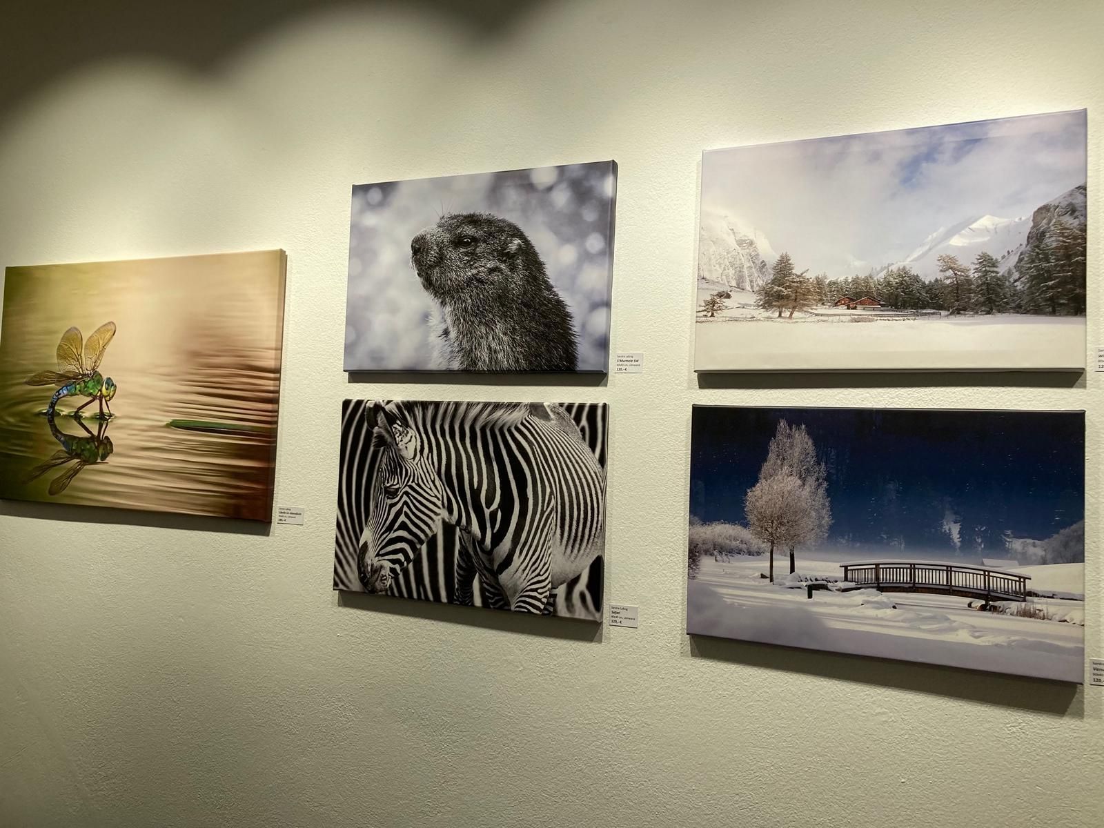Zauberhafte Naturaufnahmen von Denise und Sandra Lassnig, Foto: Stangl