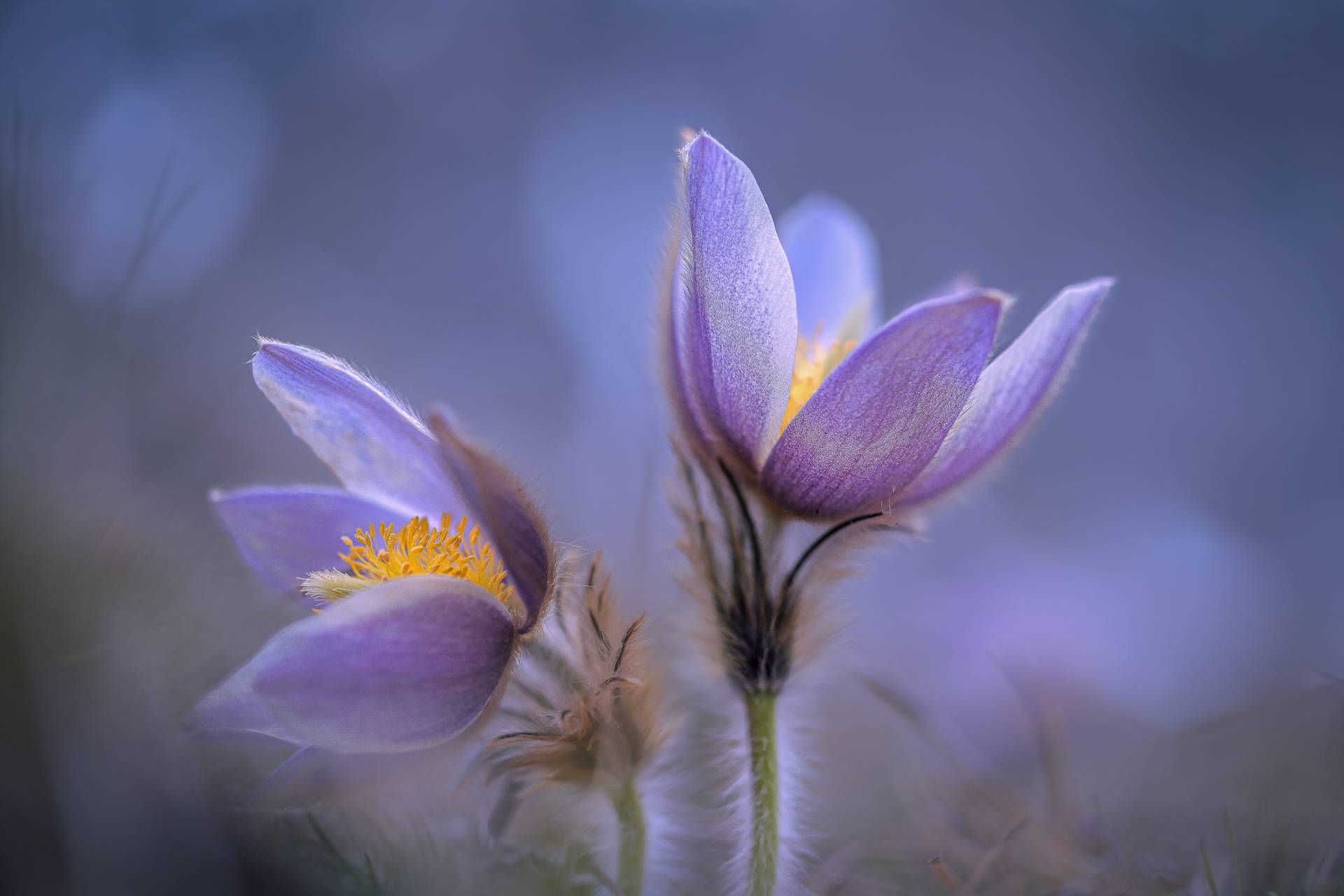 Foto: Marlies Gliber