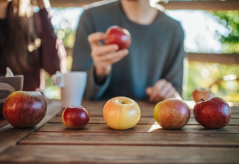 Tag des Streuobstes in St. Stefan