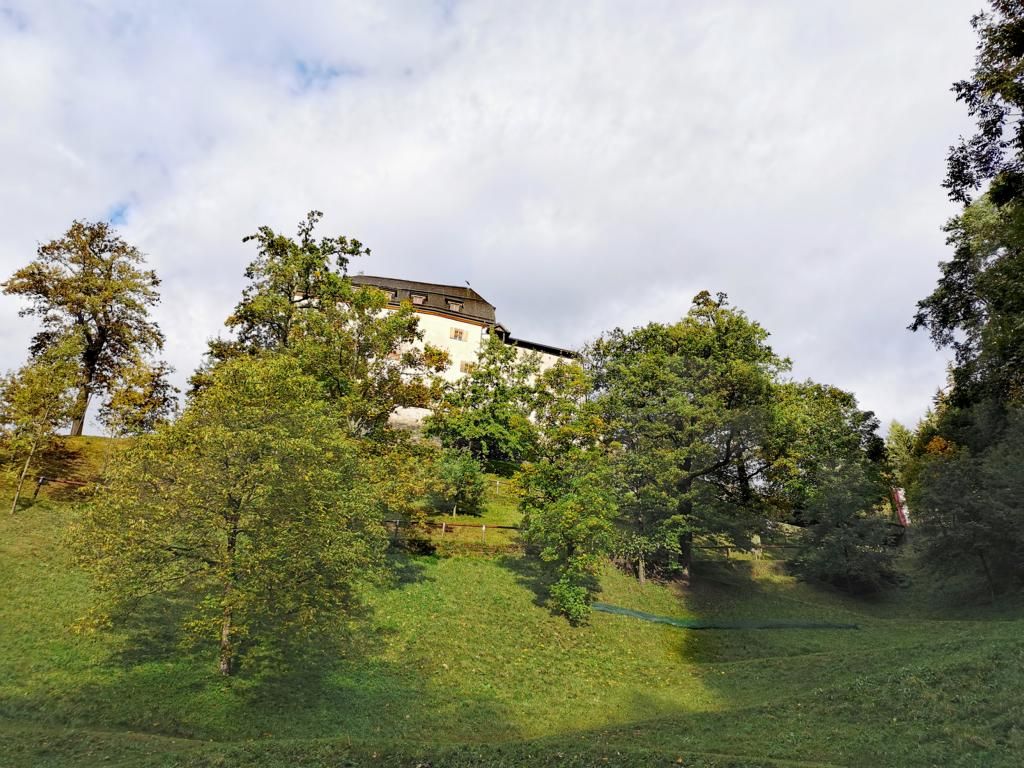 Im Park von Schloss Lengberg wurden &uuml;ber 300 kg Eicheln gesammelt, Foto: Artinger