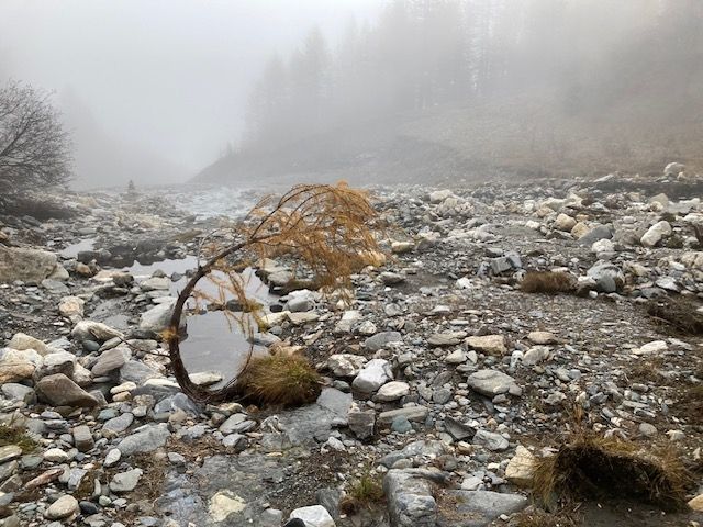 Oktober brachte viel Niederschlag und wenig Sonne