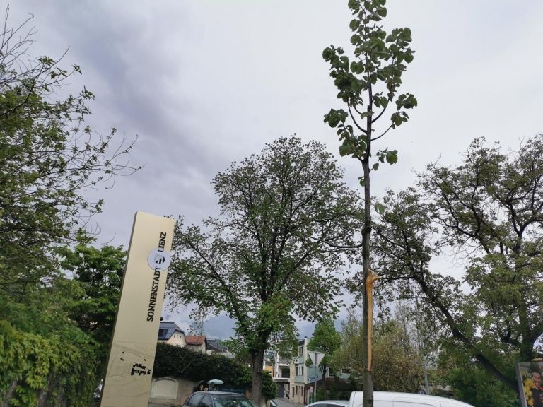 Sachbesch&auml;digung in Lienz: Zeugenaufruf