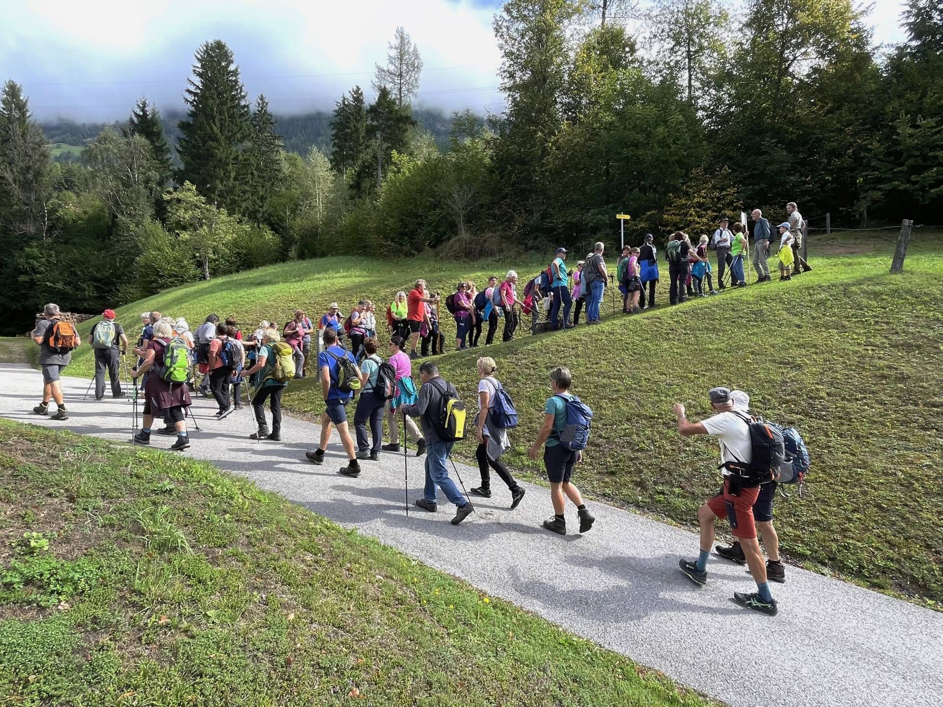Rund 80 Teilnehmer an den &bdquo;GehSpr&auml;chen&ldquo; rund um den Danielsberg.
