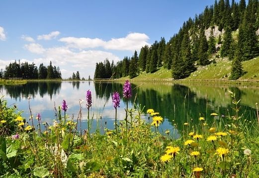 L&ouml;sung f&uuml;r K&auml;rntner Almbauern am Tisch