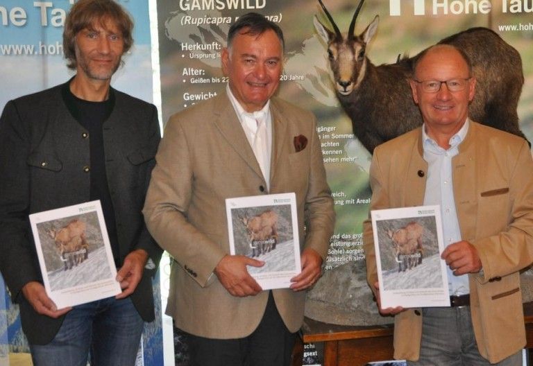 Gamsbestand weiterhin stabil