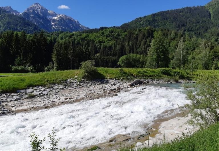 Wetzmann: Fische k&ouml;nnen passieren