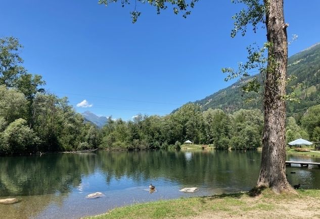 Gr&uuml;ne Oase f&uuml;r Erholung und Abk&uuml;hlung