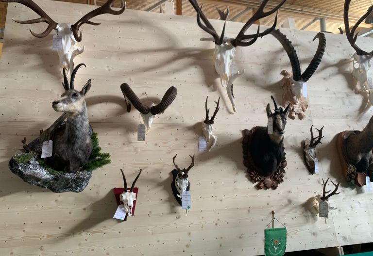 Waldsch&auml;den in Osttirol belasten auch Wild und J&auml;ger