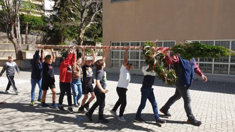 Ein Maibaum f&uuml;r die Volksschule Lienz Nord